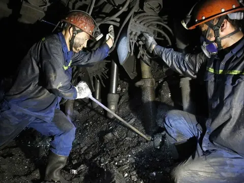 TKV nộp ngân sách Nhà nước tăng 7% so với 5 tháng cùng kỳ năm 2024